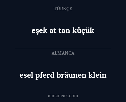 esel pferd bräunen klein - eşek at tan küçük