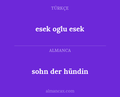 esek oglu esek - sohn der hündin