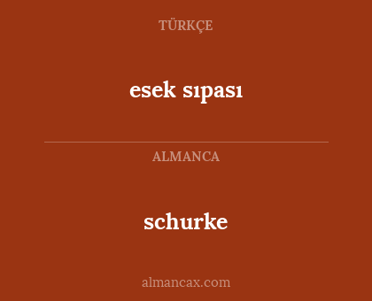 esek sıpası - schurke