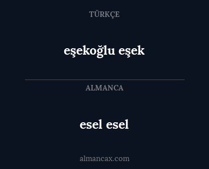 eşekoğlu eşek - esel esel