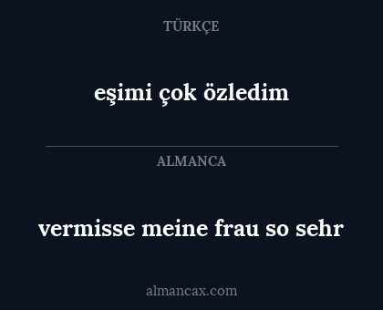 vermisse meine frau so sehr - eşimi çok özledim
