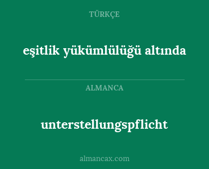 unterstellungspflicht - eşitlik yükümlülüğü altında