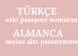eski+pasaport+numaram-meine+alte+passnummer.png