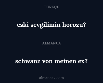 schwanz von meinen ex? - eski sevgilimin horozu?