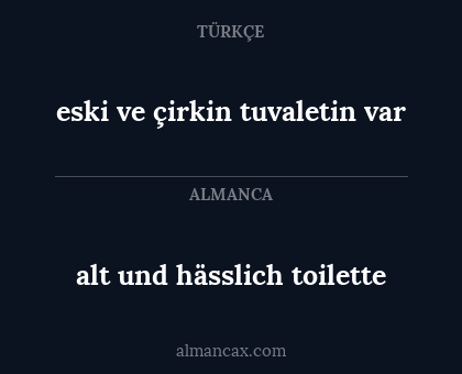 eski ve çirkin tuvaletin var - alt und hässlich toilette