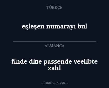 eşleşen numarayı bul - finde di̇e passende veelibte zahl