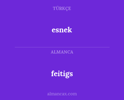 feitigs - esnek