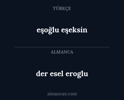 eşoğlu eşeksin - der esel eroglu