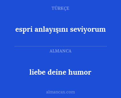 espri anlayışını seviyorum - liebe deine humor