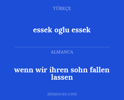 wenn wir ihren sohn fallen lassen - essek oglu essek