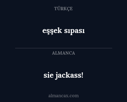 eşşek sıpası - sie jackass!