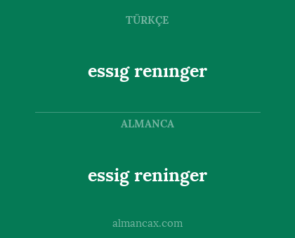 essig reninger - essıg renınger