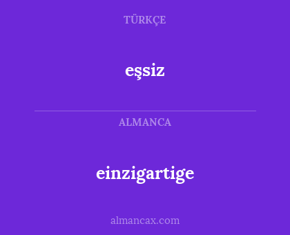 einzigartige - eşsiz