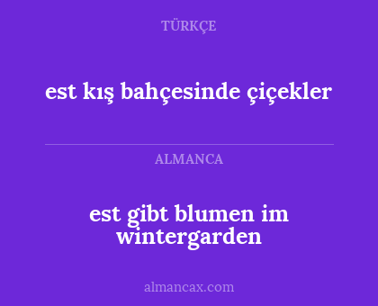 est kış bahçesinde çiçekler - est gibt blumen im wintergarden