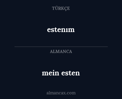 estenım - mein esten