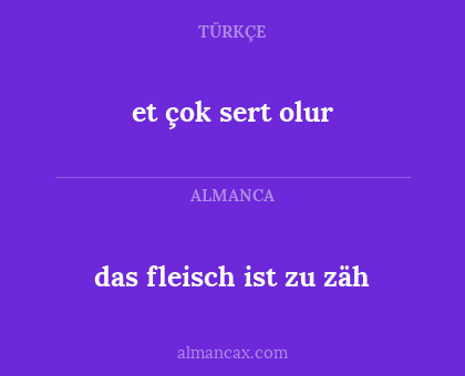 das fleisch ist zu zäh - et çok sert olur