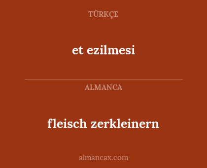 fleisch zerkleinern - et ezilmesi
