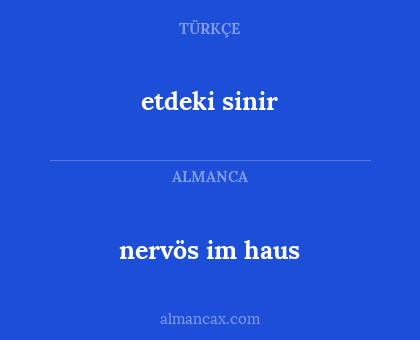 etdeki sinir - nervös im haus