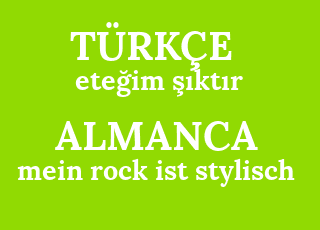 ete%C4%9Fim+%C5%9F%C4%B1kt%C4%B1r-mein+rock+ist+stylisch.png