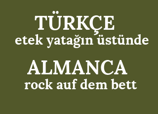 etek+yata%C4%9F%C4%B1n+%C3%BCst%C3%BCnde-rock+auf+dem+bett.png