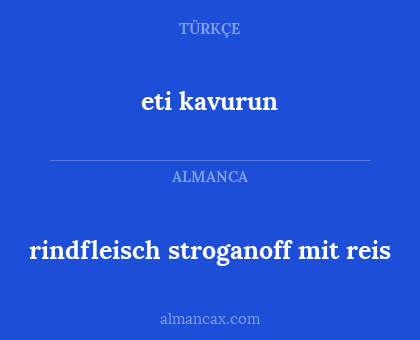rindfleisch stroganoff mit reis - eti kavurun
