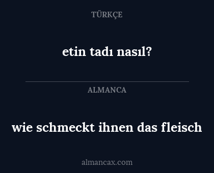 wie schmeckt ihnen das fleisch - etin tadı nasıl?