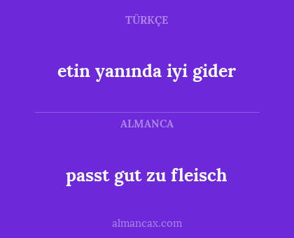 etin yanında iyi gider - passt gut zu fleisch