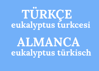 eukalyptus+turkcesi-eukalyptus+t%C3%BCrkisch.png