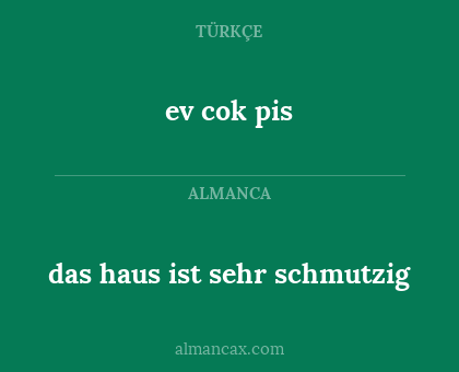 ev cok pis - das haus ist sehr schmutzig