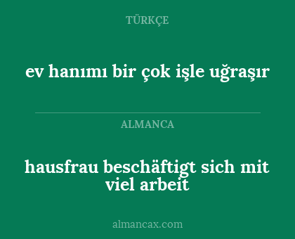 hausfrau beschäftigt sich mit viel arbeit - ev hanımı bir çok işle uğraşır