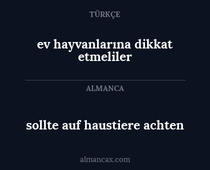 ev hayvanlarına dikkat etmeliler - sollte auf haustiere achten
