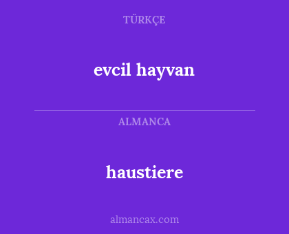 evcil hayvan - haustiere