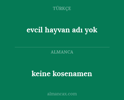keine kosenamen - evcil hayvan adı yok
