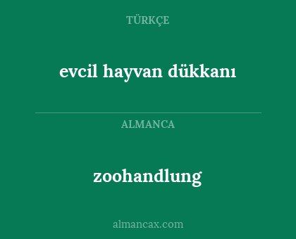 zoohandlung - evcil hayvan dükkanı