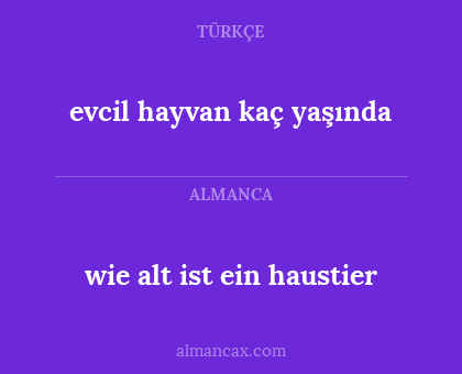 wie alt ist ein haustier - evcil hayvan kaç yaşında