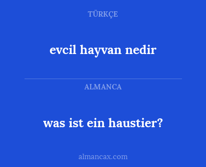 evcil hayvan nedir - was ist ein haustier?