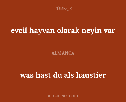 was hast du als haustier - evcil hayvan olarak neyin var