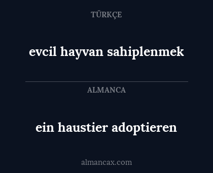 evcil hayvan sahiplenmek - ein haustier adoptieren