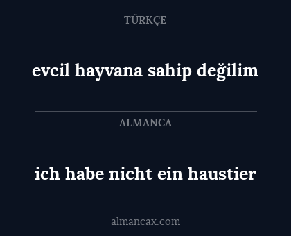 ich habe nicht ein haustier - evcil hayvana sahip değilim