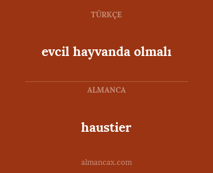 evcil hayvanda olmalı - haustier
