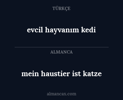 evcil hayvanım kedi - mein haustier ist katze