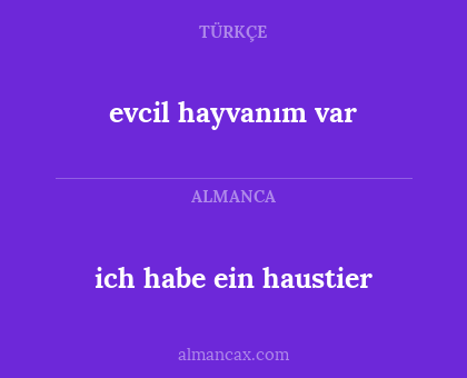 evcil hayvanım var - ich habe ein haustier