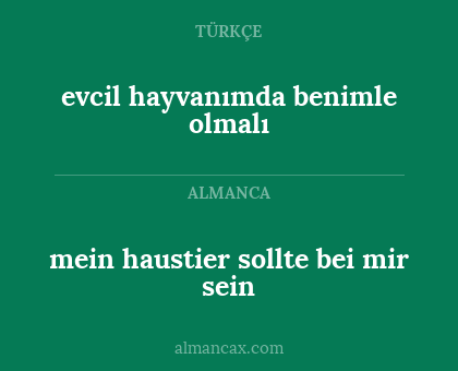 evcil hayvanımda benimle olmalı - mein haustier sollte bei mir sein