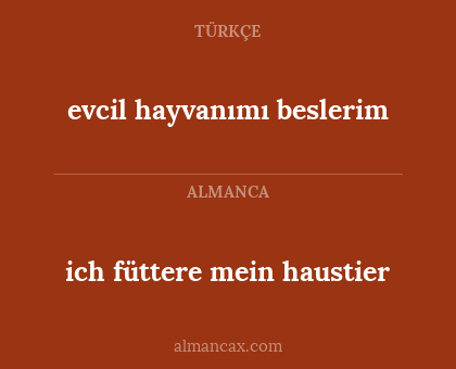 evcil hayvanımı beslerim - ich füttere mein haustier