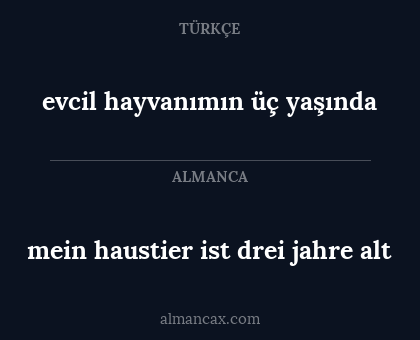 mein haustier ist drei jahre alt - evcil hayvanımın üç yaşında