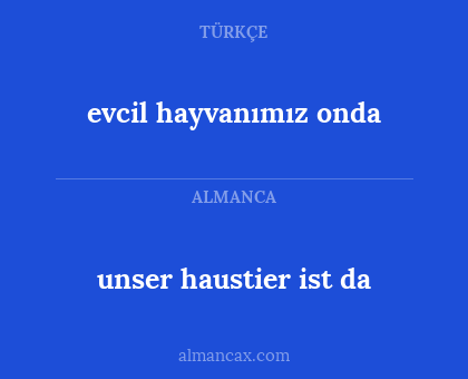 evcil hayvanımız onda - unser haustier ist da