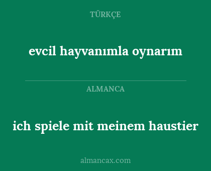 ich spiele mit meinem haustier - evcil hayvanımla oynarım