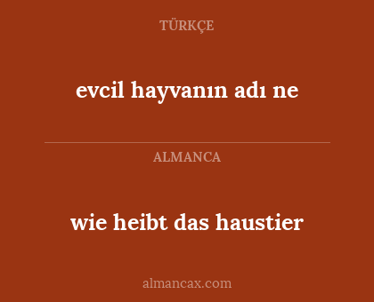 wie heibt das haustier - evcil hayvanın adı ne