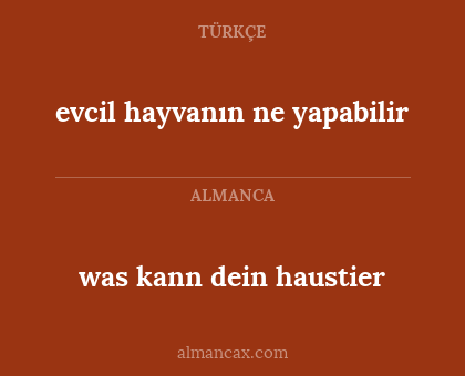 was kann dein haustier - evcil hayvanın ne yapabilir