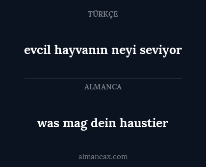 was mag dein haustier - evcil hayvanın neyi seviyor